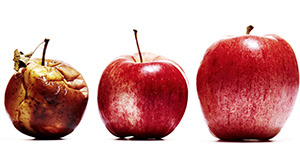 Asymmetric Dominance Effect (eller decoy effekt)